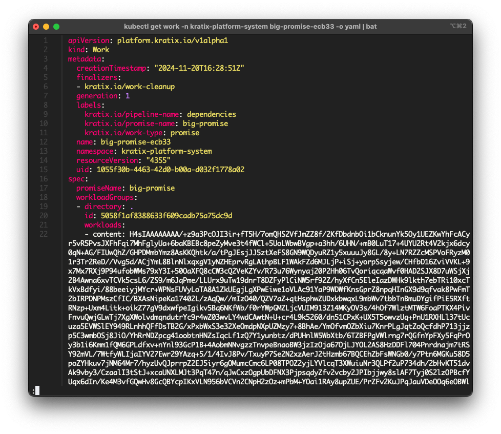 Screenshot of a terminal showing
the Work object with binary data in the contents of a Workload